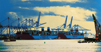 Zeefdruk: APM Terminals Rotterdam