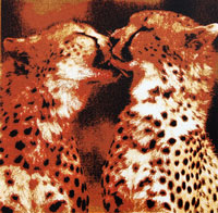 Zeefdruk: Golden Cheetahs
