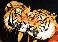 Zeefdruk: Lovely Tigers
